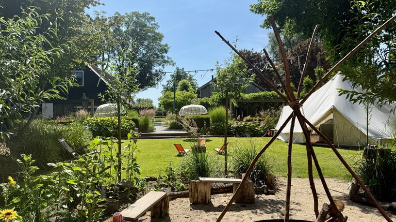 3-dagars guidad psilocybinretreat i naturen (Nederländerna)