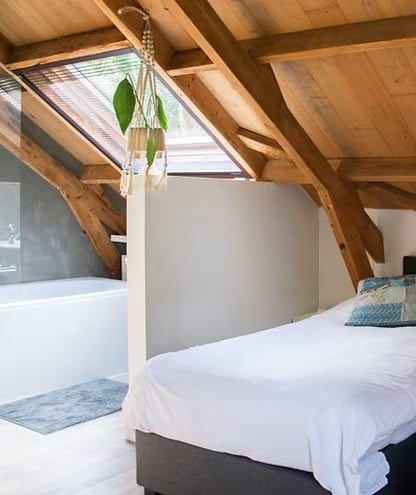 3-dagars guidad psilocybinretreat i naturen (Nederländerna)