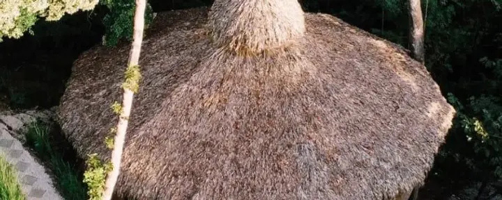 Huachuma (San Pedro)-fördjupningar