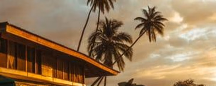 Ayahuasca-workshops