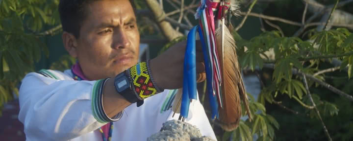 Ayahuasca själsresa, 4 dagar