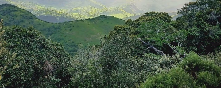 5-dagars "INJOY"-retreat – andas in i salighet vid Magwa Falls
