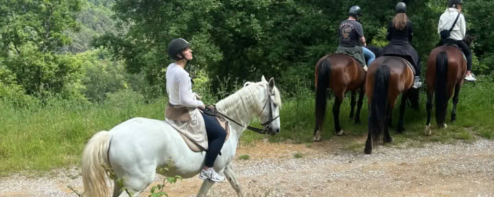 Luna Vida-retreaten