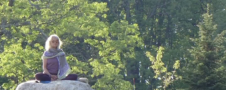 Ingenstans att gå, inget att göra: en buddhistisk tyst retreat