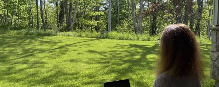 Kommande program av John Henderson – Skriv nu. En sommarretreat för författare
