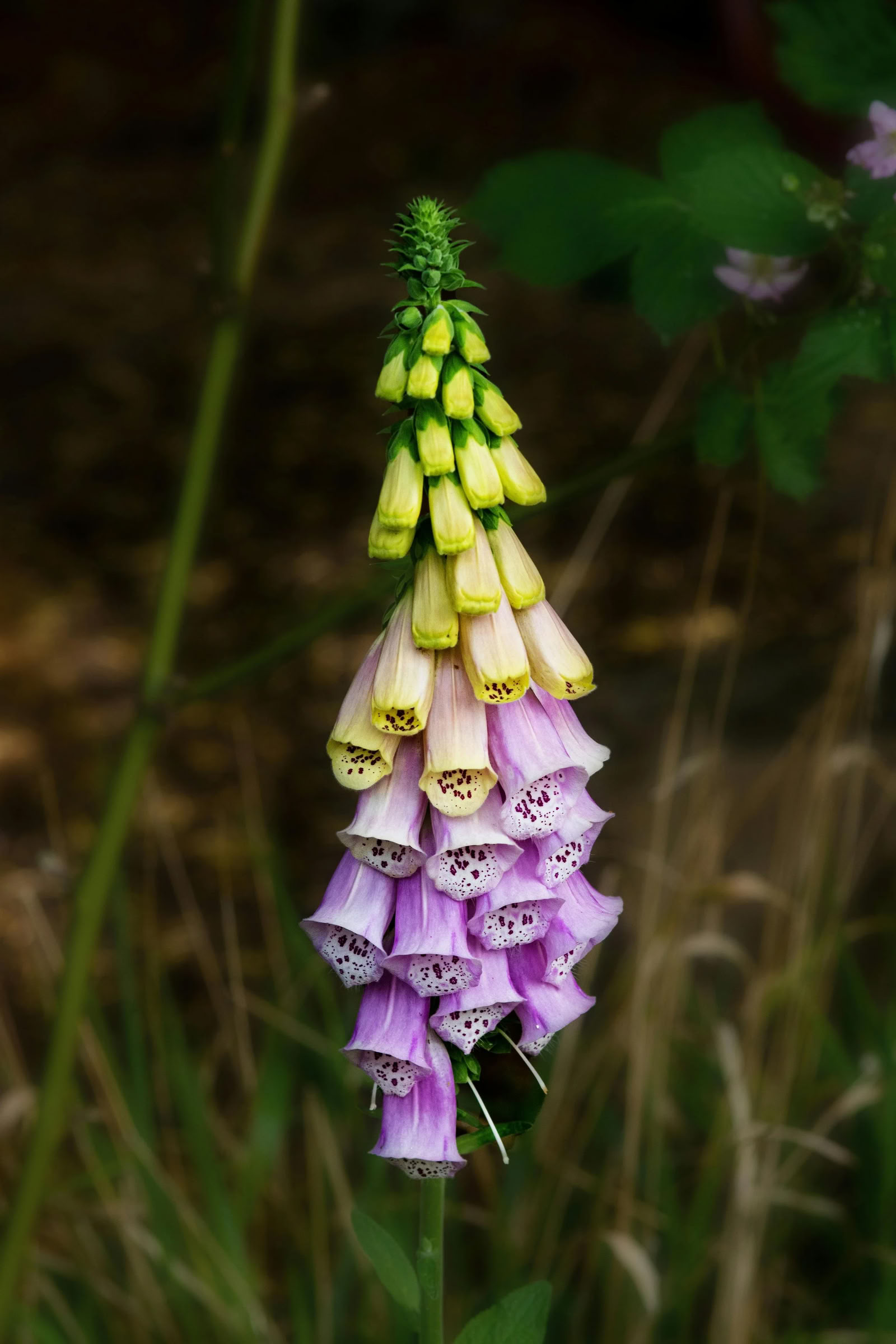 Konst + yogakreativitetsretreat: keramik + botaniska inslag | Nectar Yoga Retreat