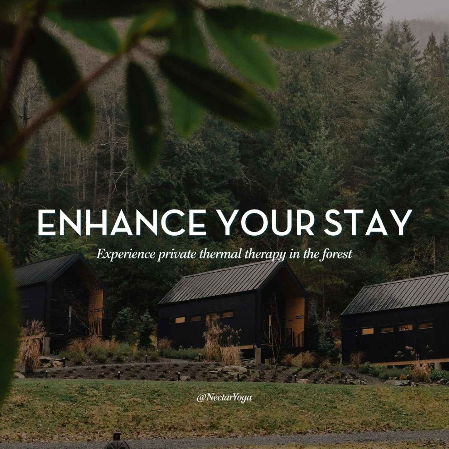 Eftermiddagsretreat för återhämtning med Carolyn Anne Budgell | Nectar Yoga