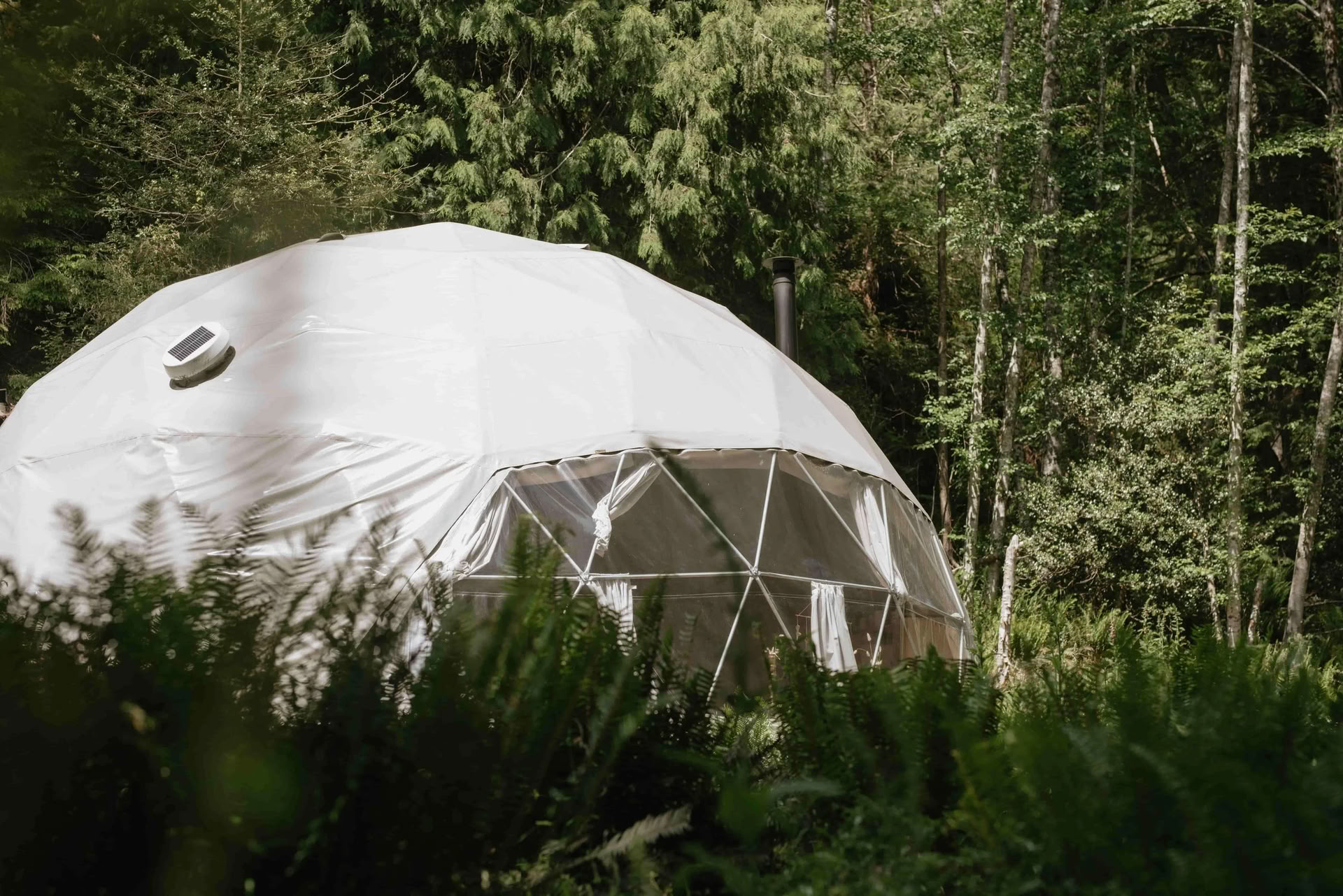 Dagsretreat för att återvända till glädjen med Slow Burn Wellness | Nectar Yoga Bowen Island
