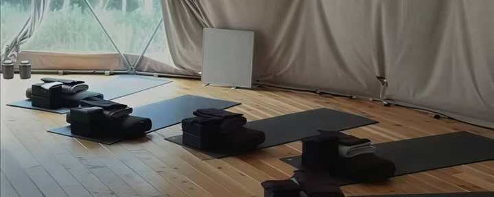Ashtanga yogadagsintensiv: Vinyasas helande magi