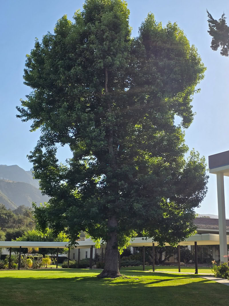 Meditationsretreat i Assisi
