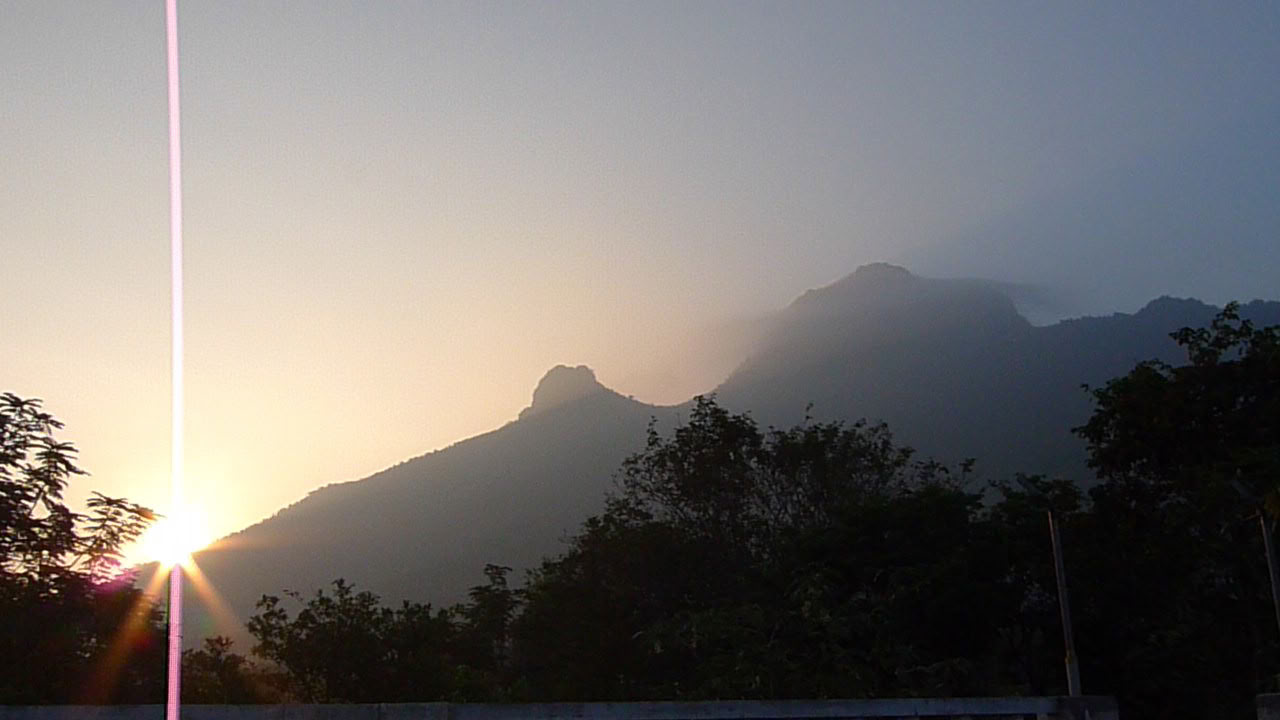 24 jan 21-dagars tyst meditationsdetox ashramretreat i Indien
