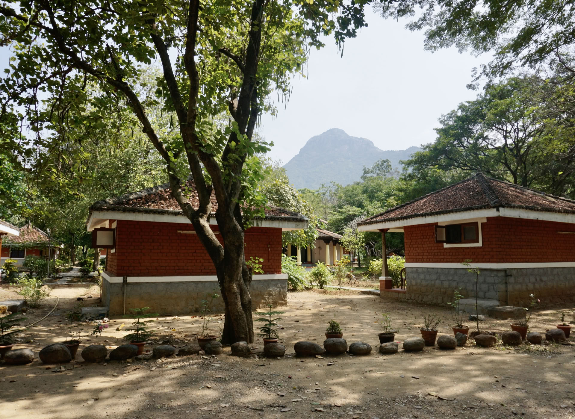21-dagars tyst meditationsdetox-ashramretreat i Indien