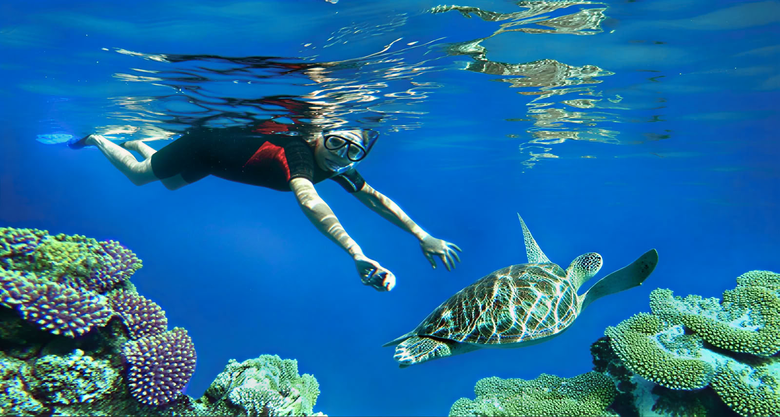 Reväventyr: Snorkling i Lovina
