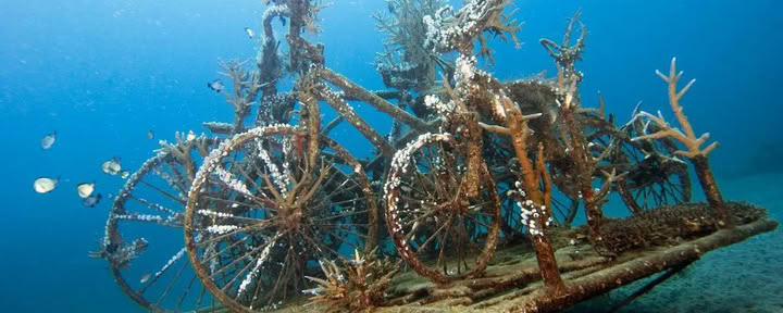 Introduktionsdyk vid Lovina Reef, 2 dyk