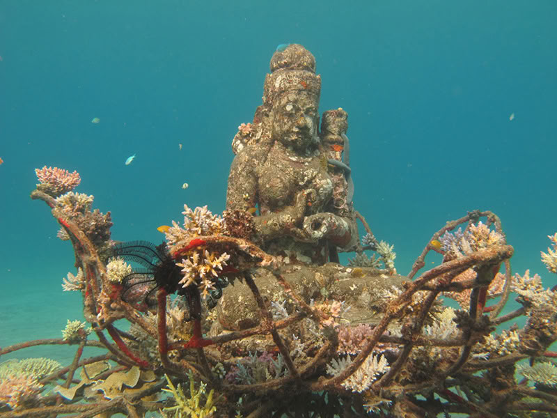 Pemuteran-tur med snorkling
