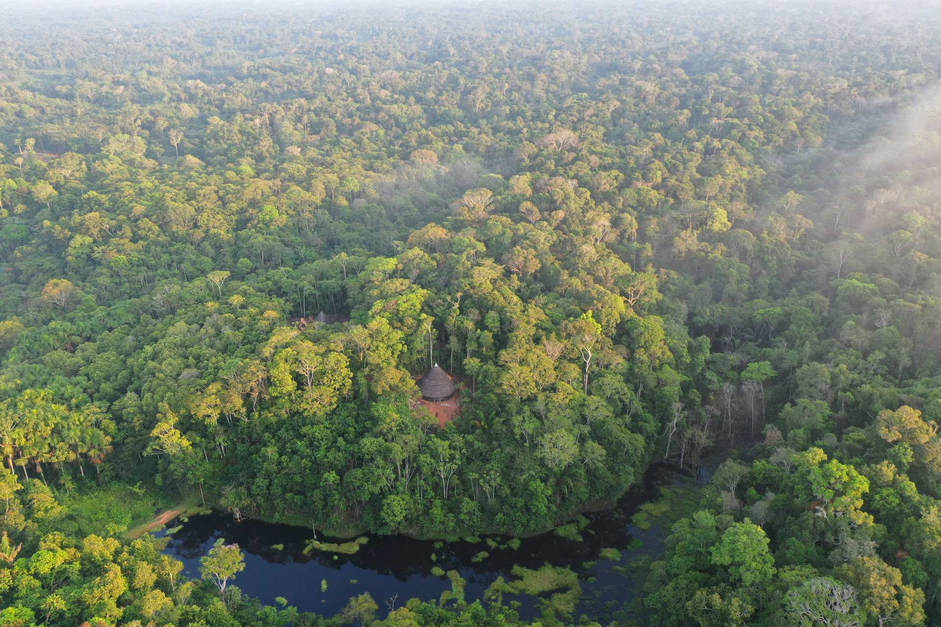 Öppet ayahuaskaretreat hos Psychonauta Tribe