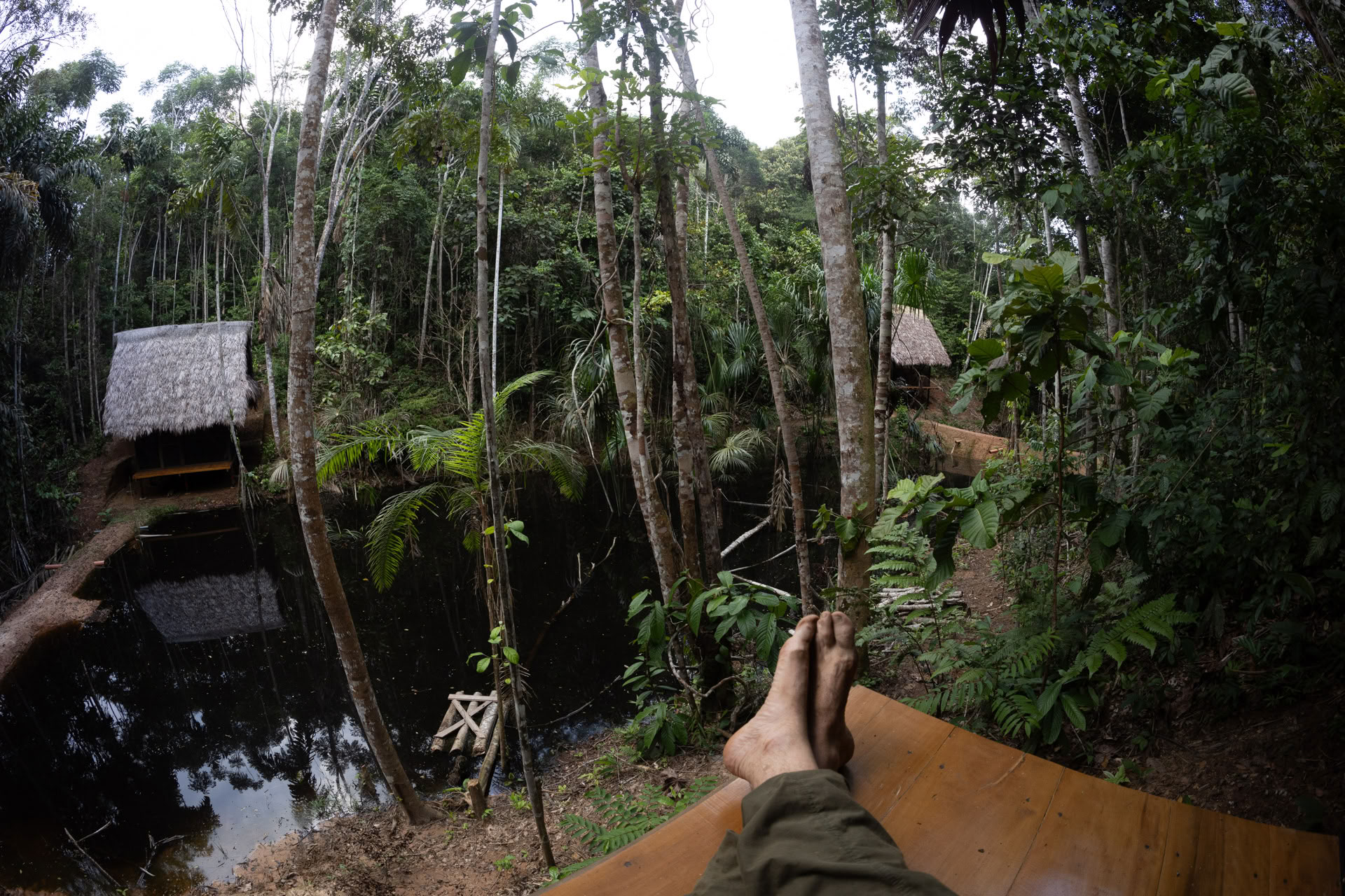 Öppet ayahuaskaretreat hos Psychonauta Tribe