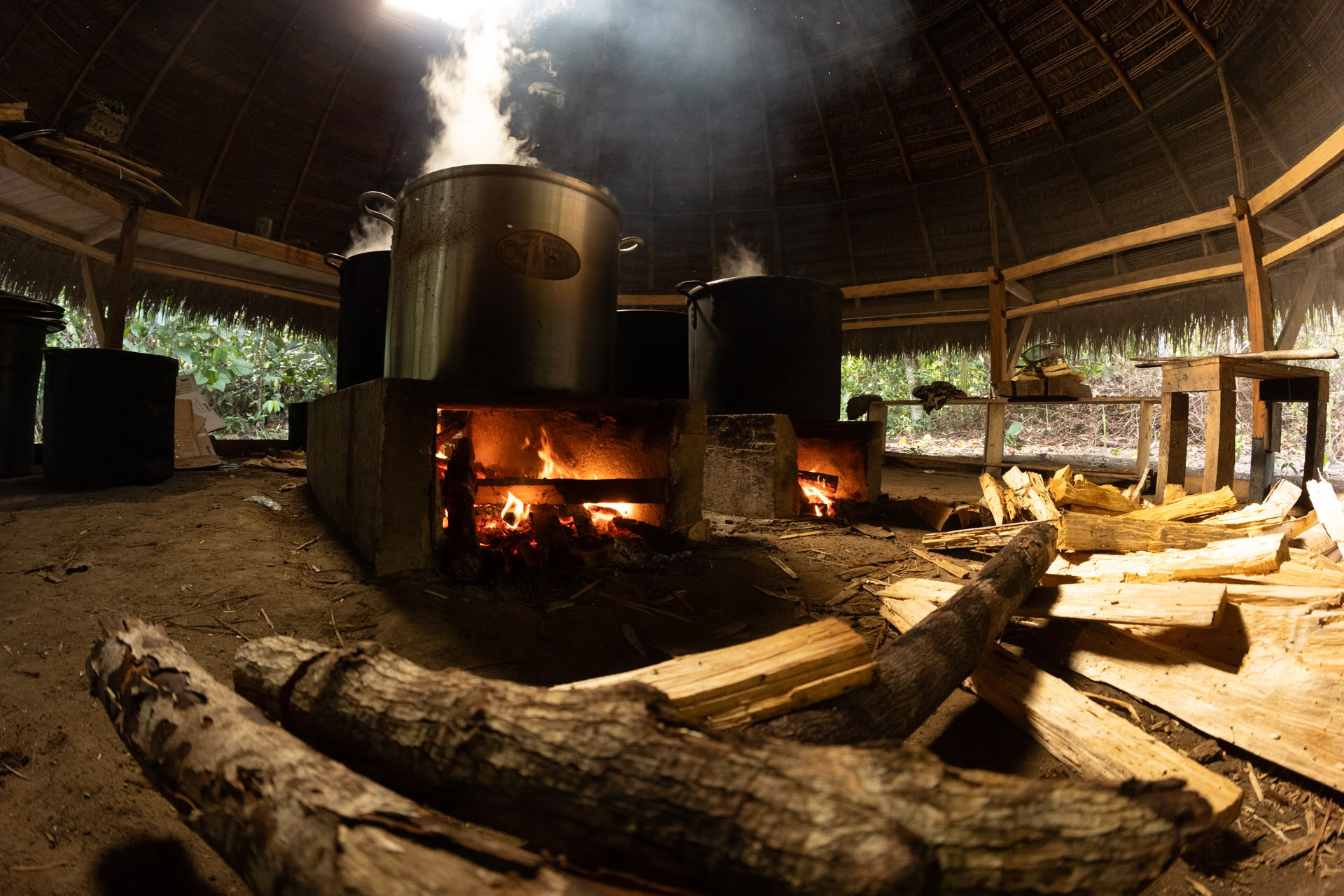 Öppen ayahuasca-retreat