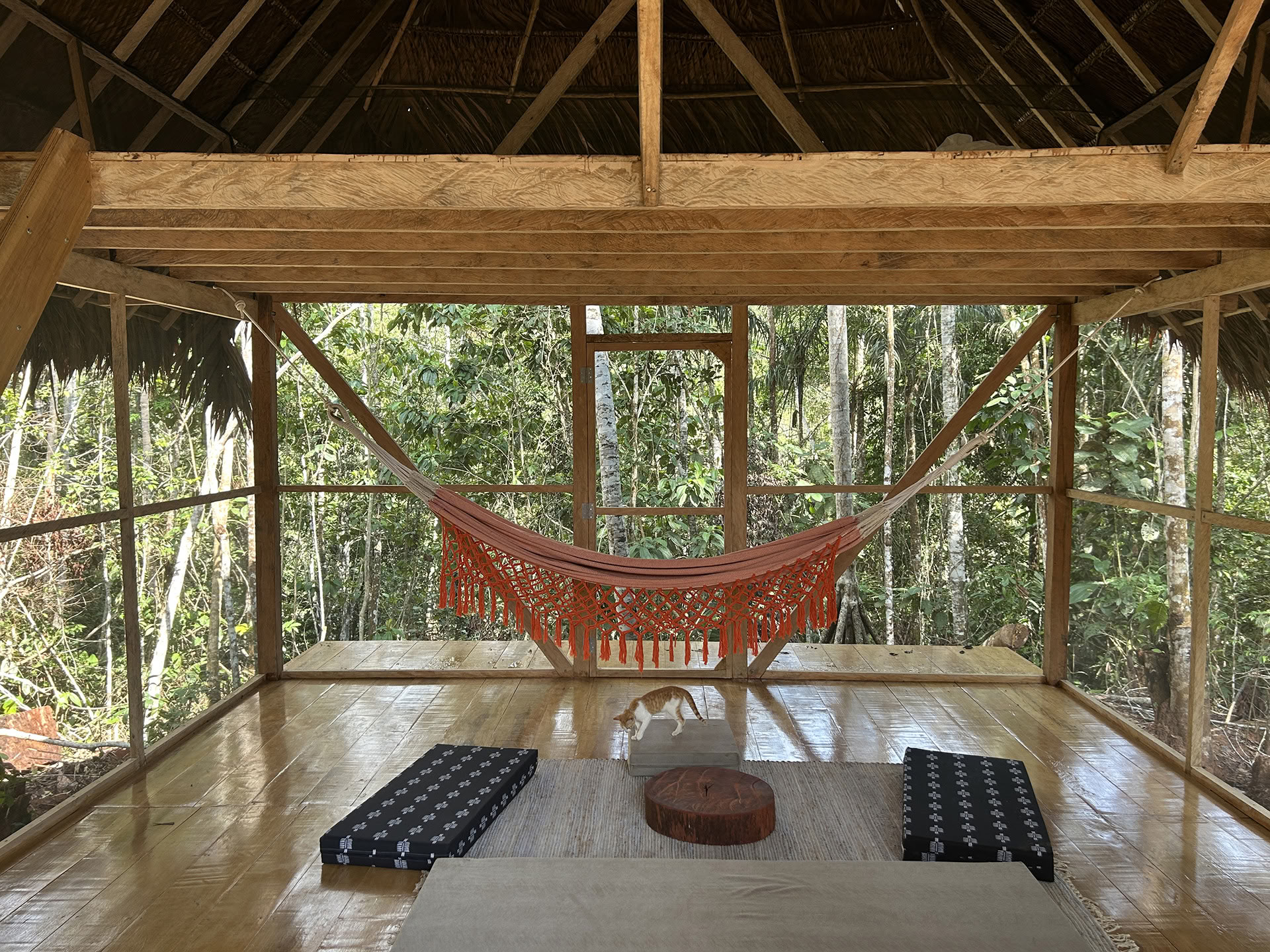 Öppen ayahuasca-retreat