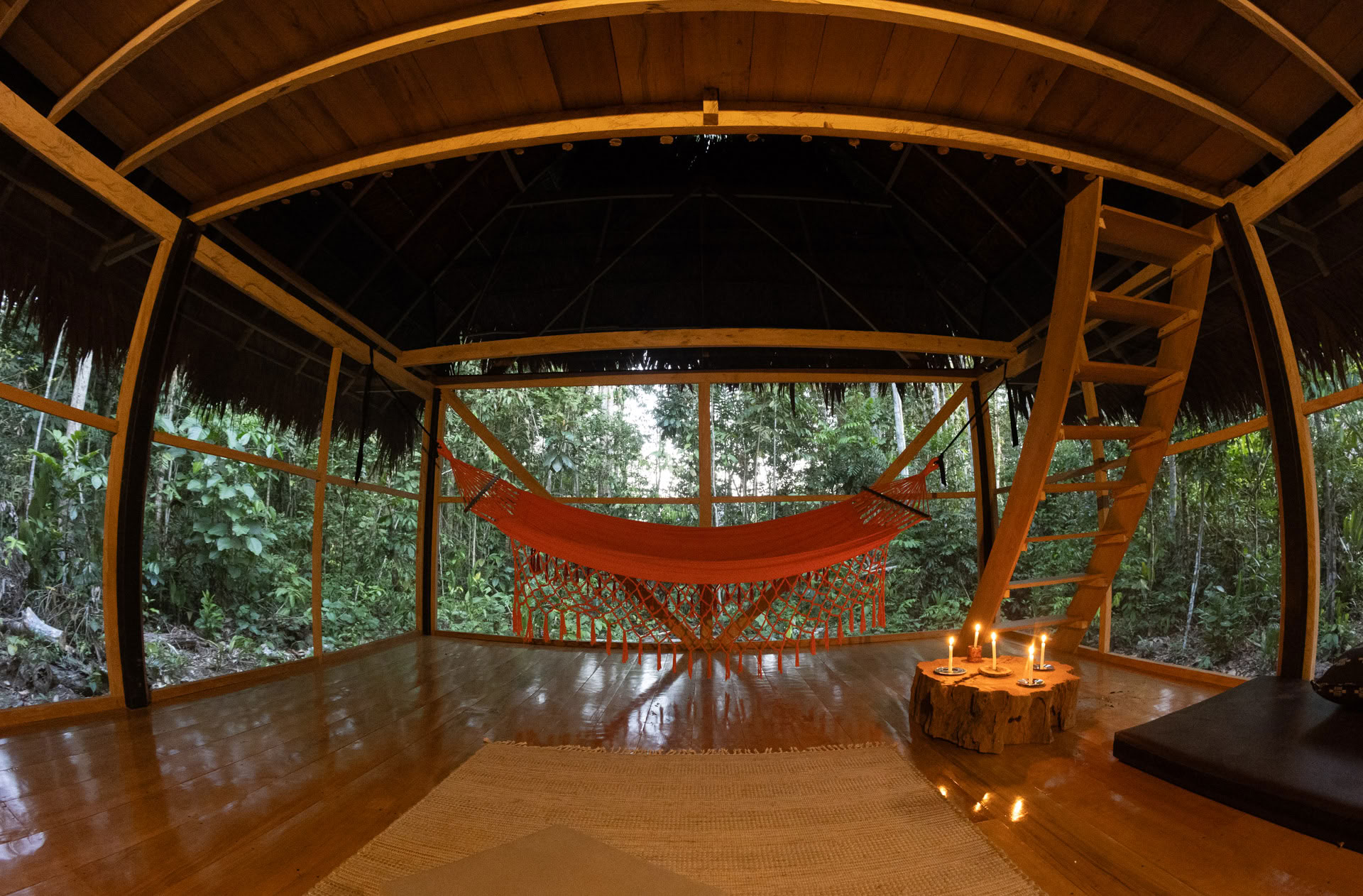 Öppen ayahuasca-retreat