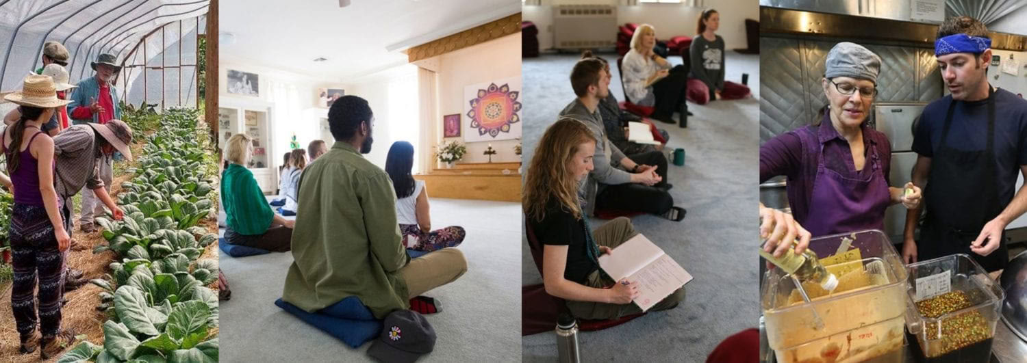 Levande yogautbildning (LYT) – 29 juni–26 juli