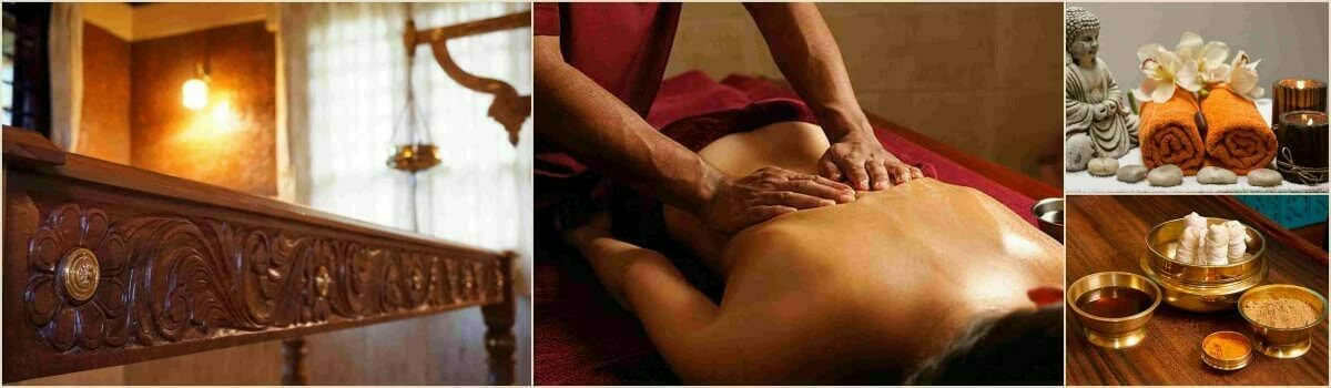 Ayurvedakurs (grundkurs) – december 2026
