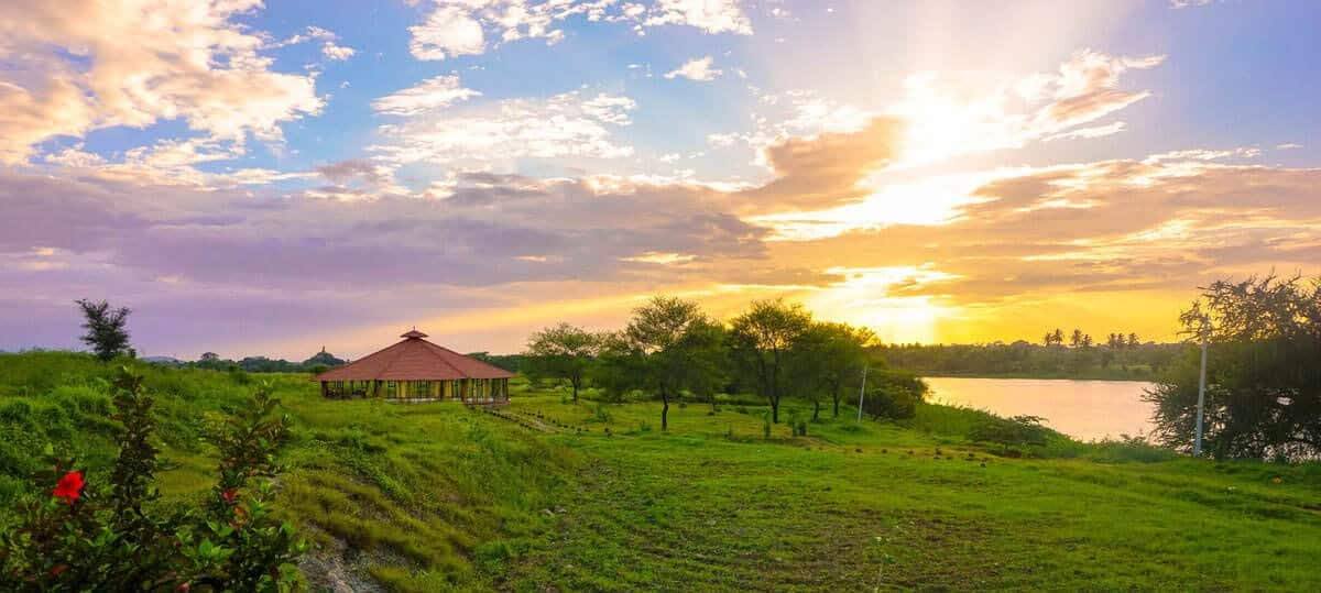 200 timmars yogalärarutbildning i Indien – 1–29 september 2026