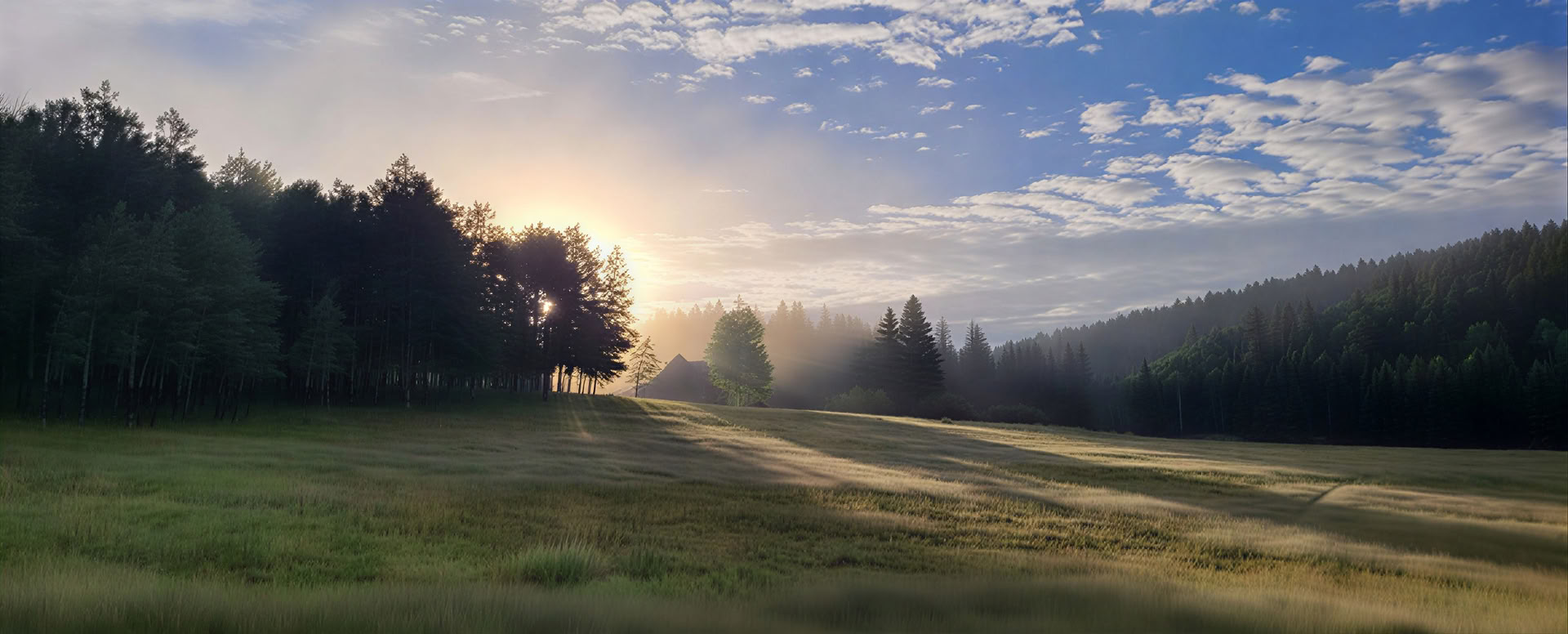 Vaken i det vilda (oktober): Utforska visdom och uppvaknande i naturen