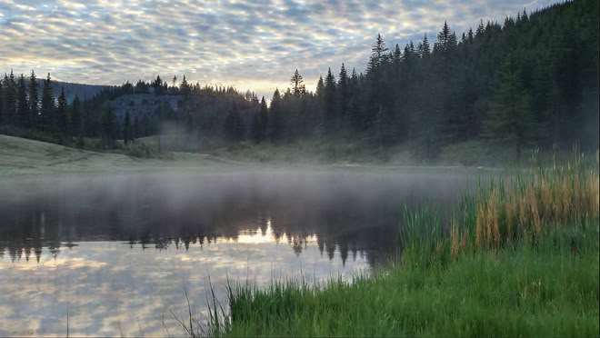 Djup tillflykt: en LGBTQIA+-gemenskapsretreat i naturen