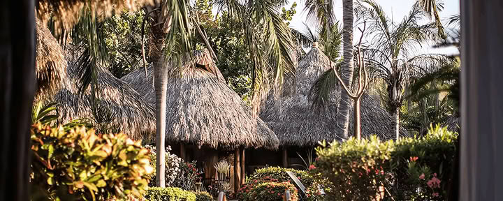 Skogsmedicinskt retreaterbjudande