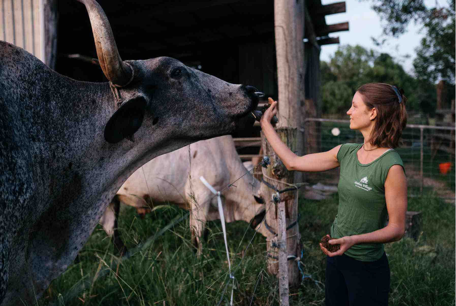200 timmars yogalärarutbildning och fördjupningsretreat