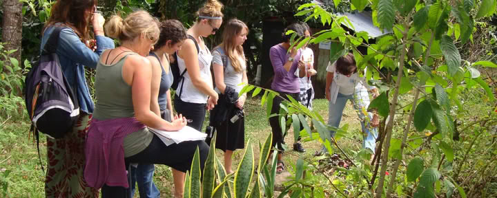 Örtmedicin- och yogaretreat: nytt datum 5–10 september 2026