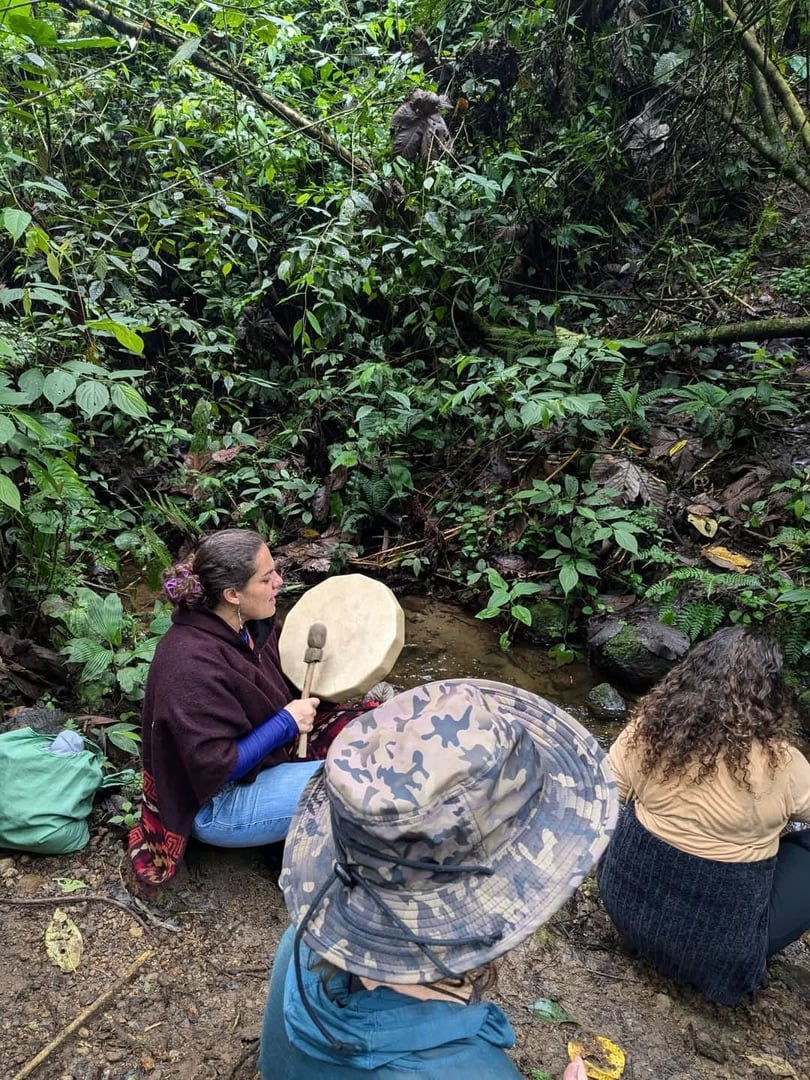 3-dagars San Pedro- och ayahuasca-retreat
