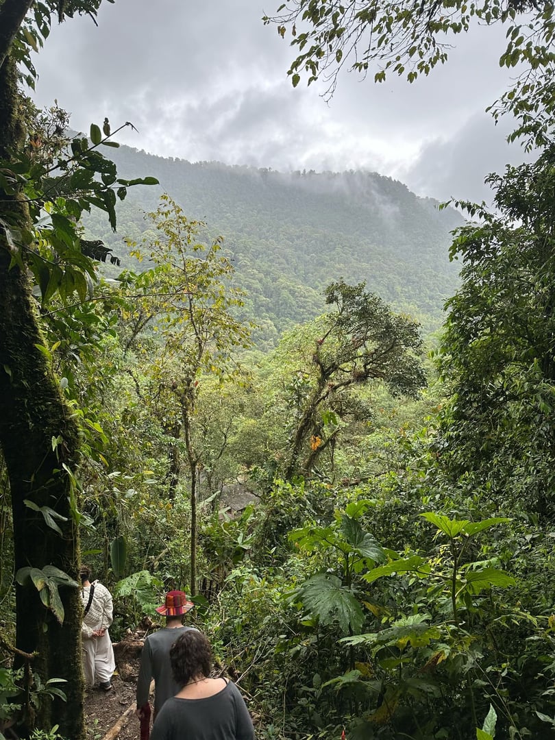Ayahuasca-dagsceremoni på Hayulima naturreservat