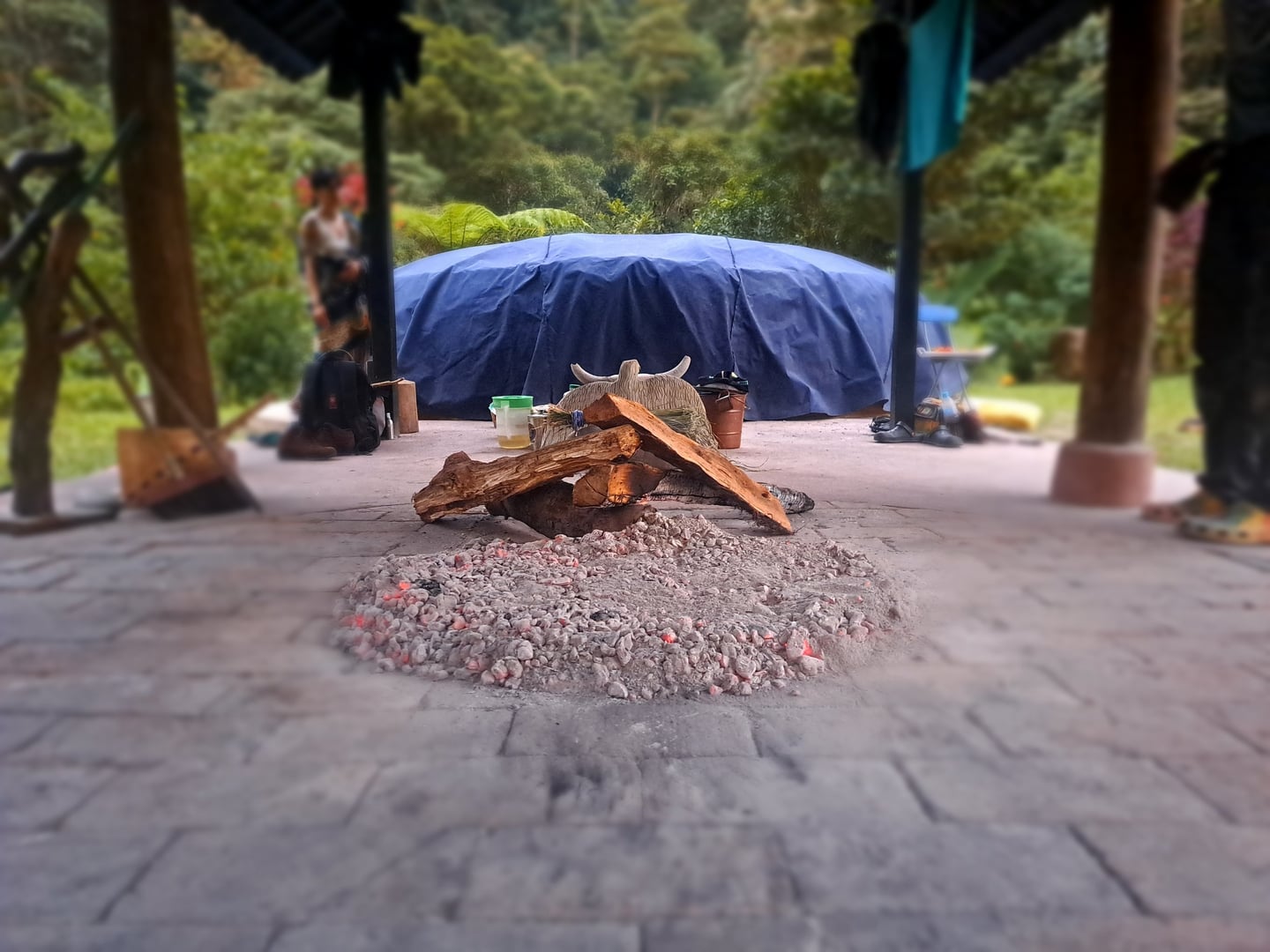 San Pedro-temazkalceremoni på Hayulima naturreservat
