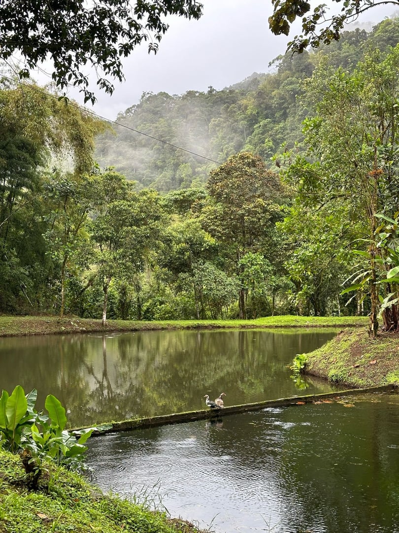 10 dagars retreat i Hayulima naturreservat
