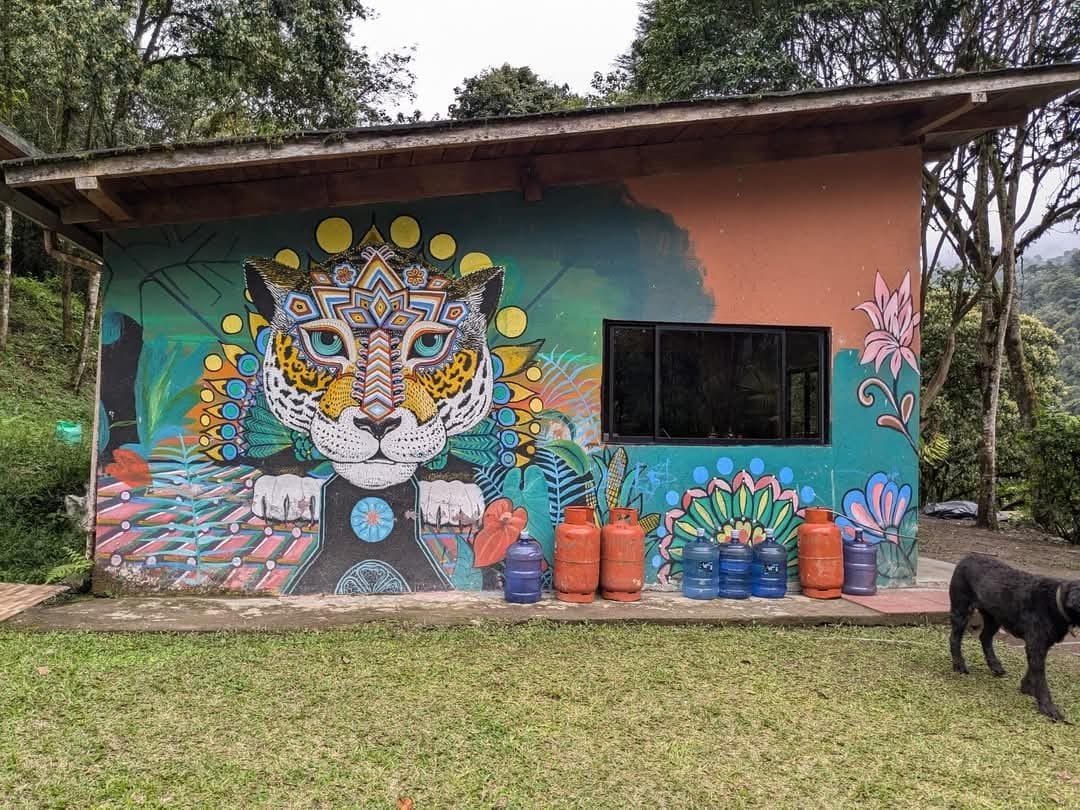 3-dagars – San Pedro och ayahuasca – helgresa