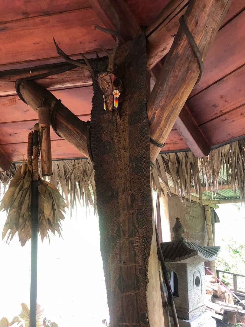 Ayahuasca-ceremoni på Hayulima naturreservat – 11 juli 2026