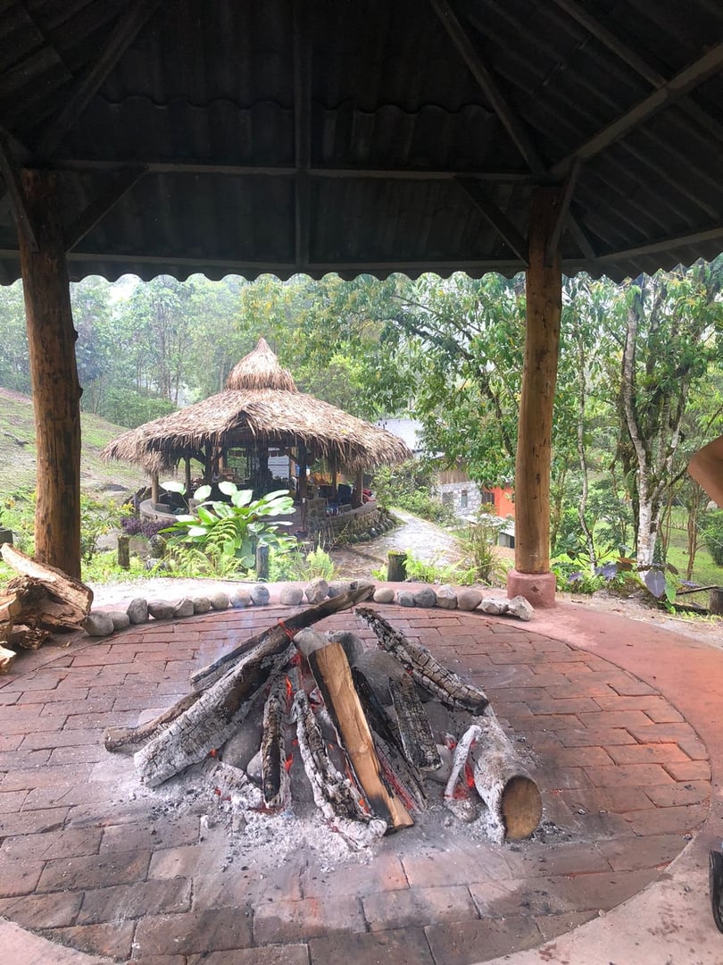 Ayahuasca-ceremoni på Hayulima naturreservat – 11 juli 2026