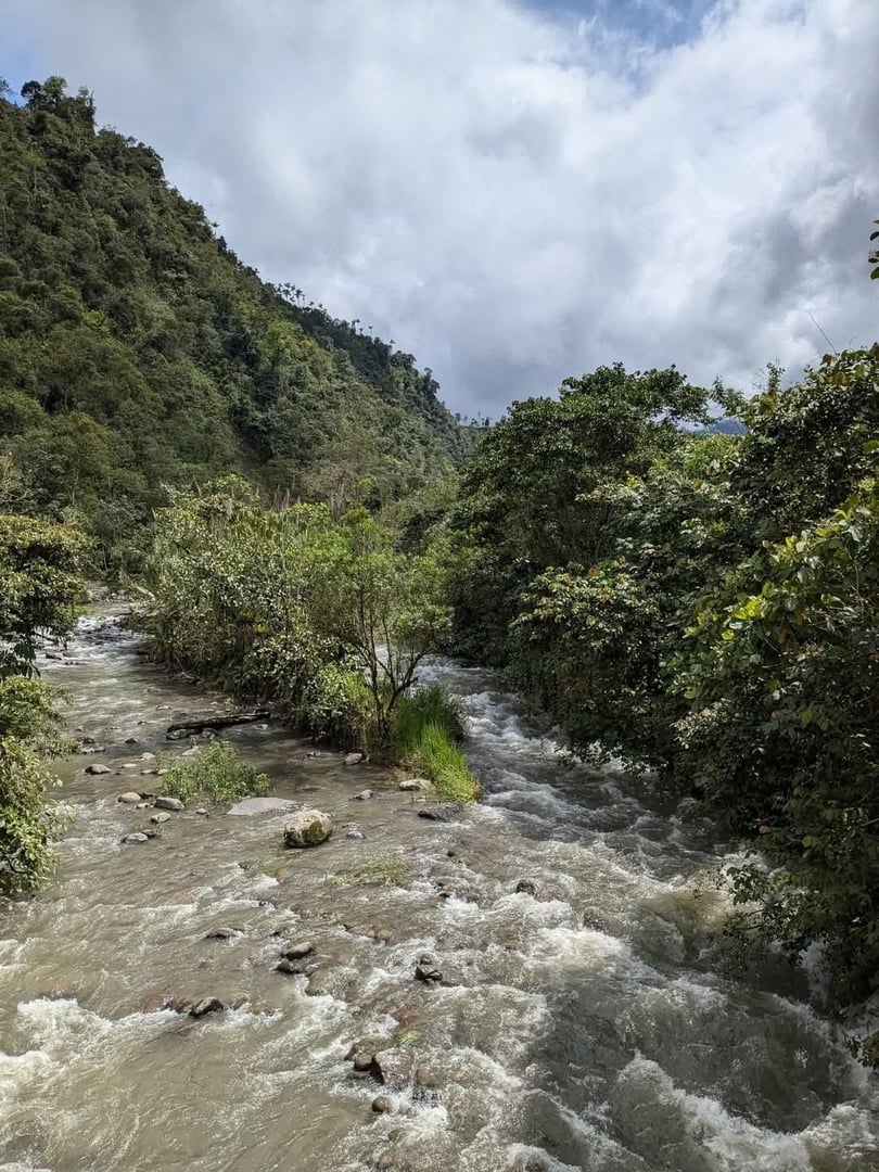 Ayahuasca-ceremoni på Hayulima naturreservat – 11 juli 2026