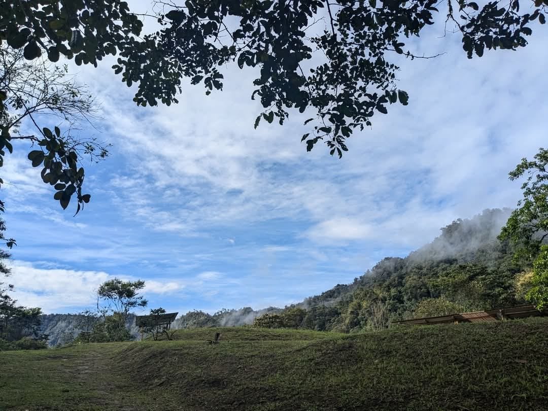 Ayahuasca-ceremoni på Hayulima naturreservat – 11 juli 2026