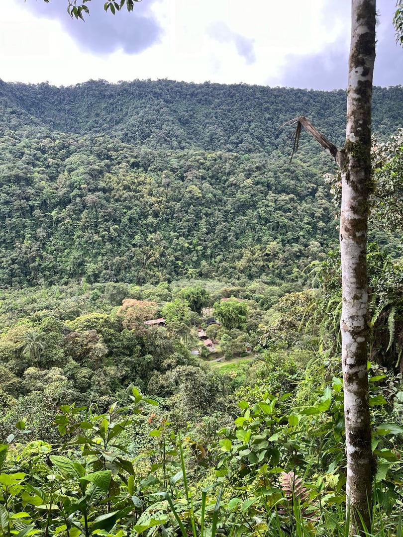 Ayahuasca-ceremoni på Hayulima naturreservat – 11 juli 2026