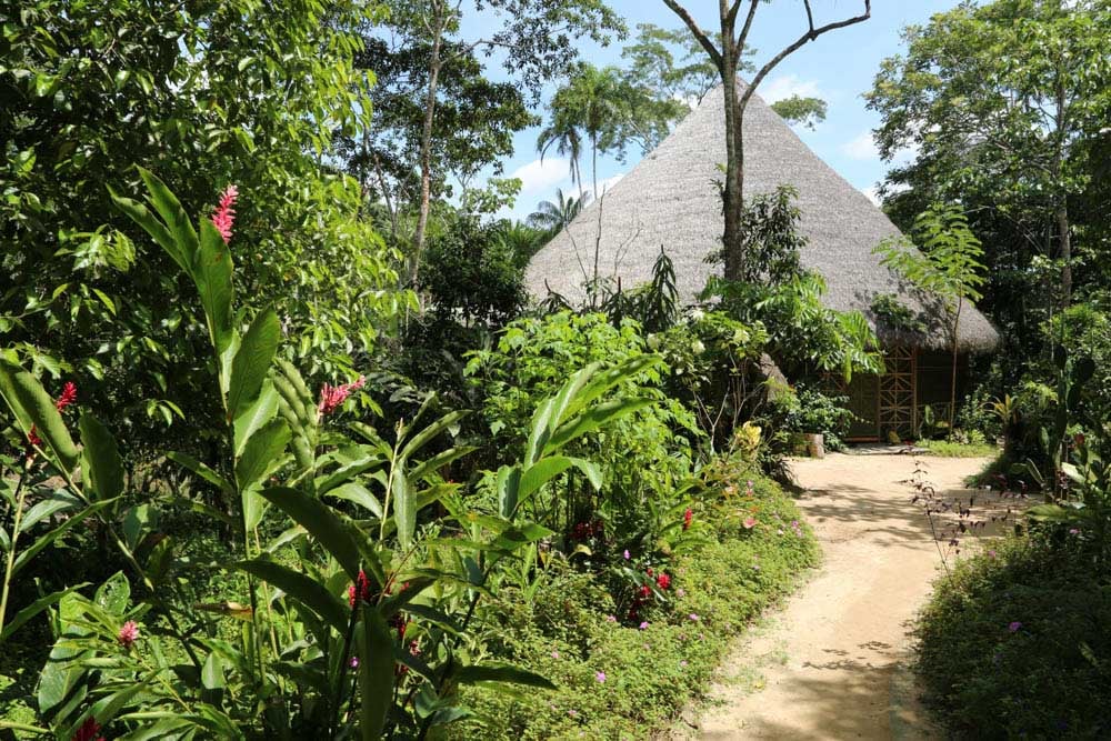 Att leva i samklang: Ayahuasca-healingretreat
