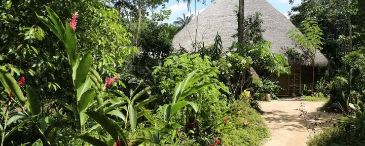 Att leva i samklang: Ayahuasca-healingretreat
