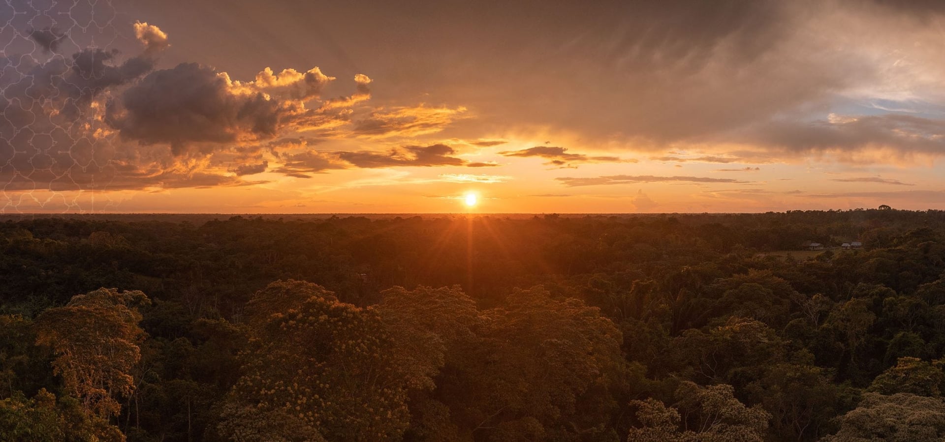 Ayahuasca helande retreat + 5-dagars integrationsretreat