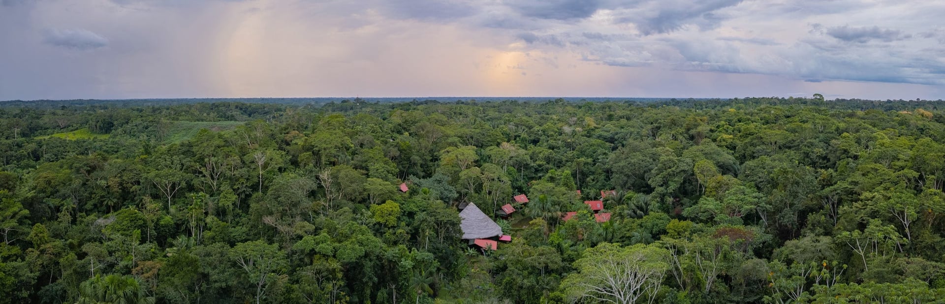 Ayahuasca helande retreat + 5-dagars integrationsretreat