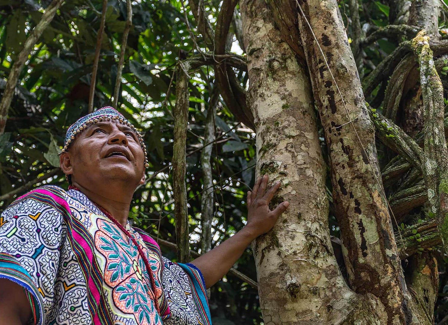 Ayahuasca helande retreat + 5-dagars integrationsretreat