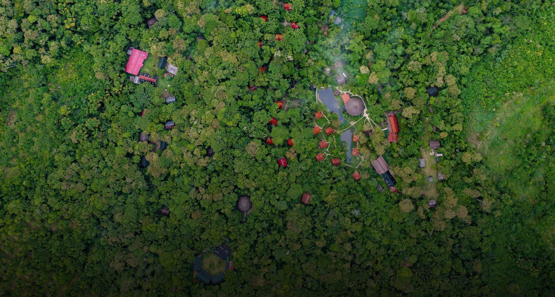 Ayahuasca helande retreat + 5-dagars integrationsretreat