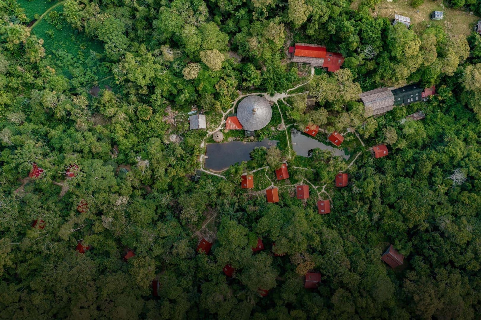 Ayahuasca helande retreat + 5-dagars integrationsretreat