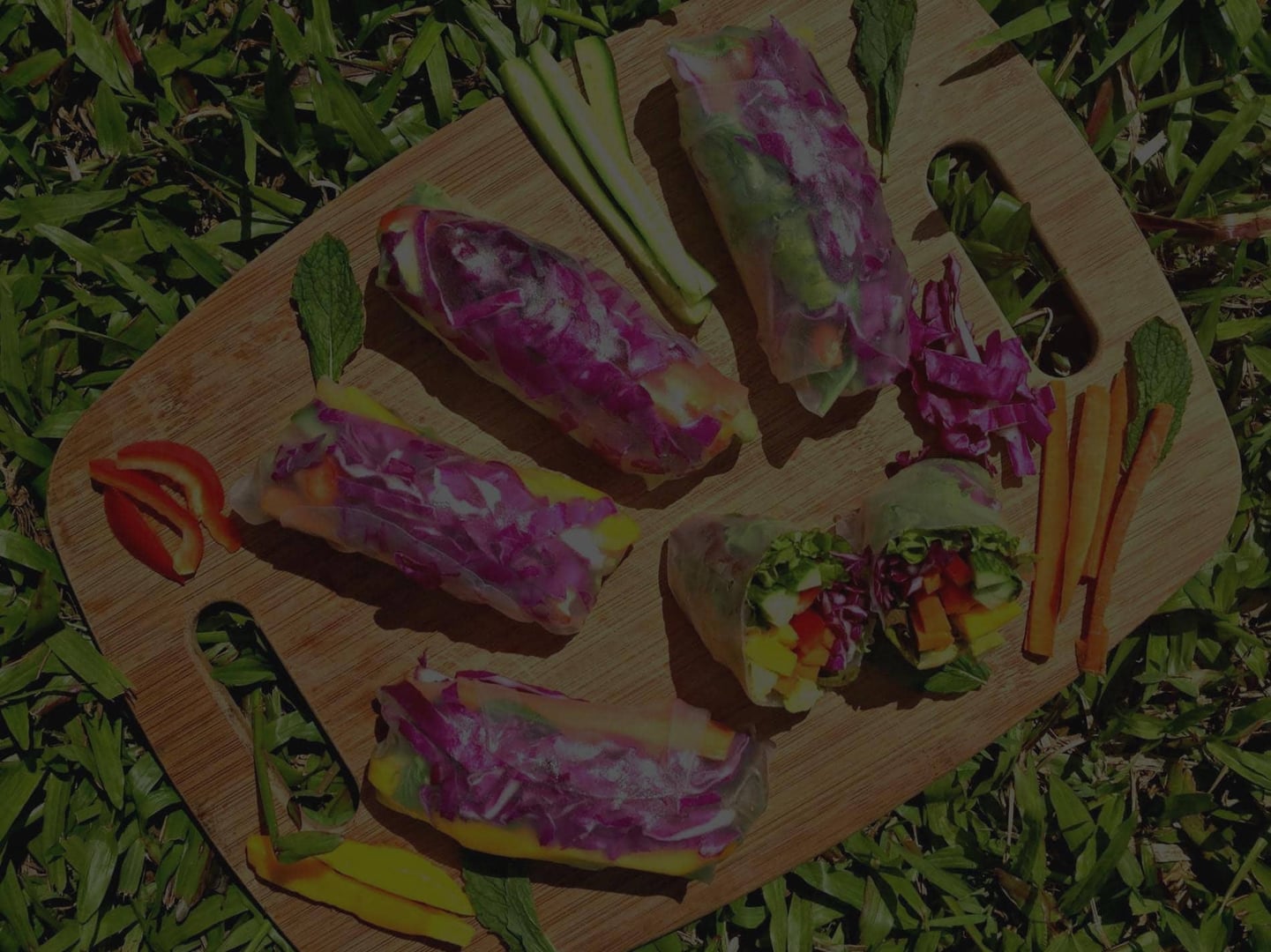 Ayahuasca helande retreat + 5-dagars integrationsretreat